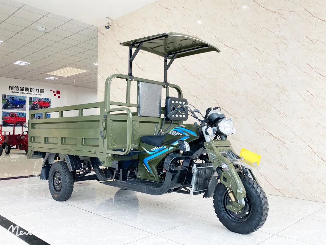 Motorcycle Tricycle High Quality 3 Wheel Cargo Tricycle for Adult